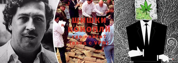 прущий лед Заводоуковск